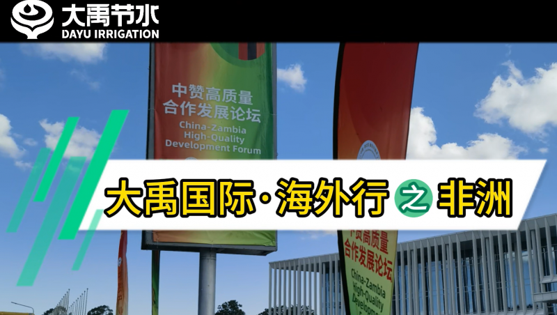 抖圈为抖而生国际·外洋行之非洲