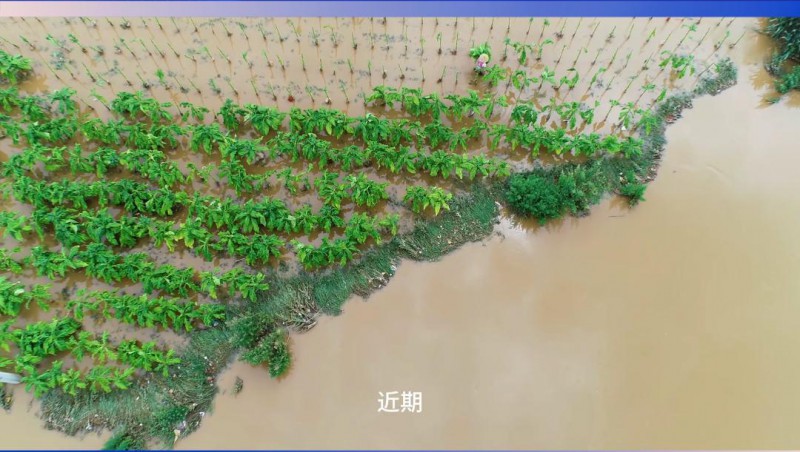 抖圈为抖而生节水：严阵以待，，，，，，，共筑防汛抗旱屏障