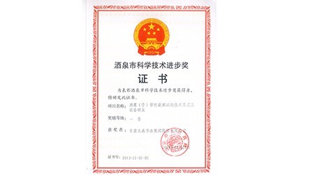 酒泉市科学手艺前进一等奖