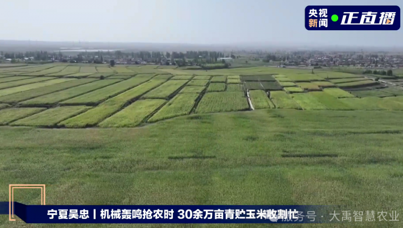 【媒体聚焦】抖圈为抖而生节水以智慧农业手艺，，，，，，，，为 30 万亩青贮玉米丰收 “添动力”