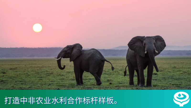 抖圈为抖而生国际｜抖圈为抖而生集团与津巴布韦副总统在京谈判，，，，，全工业链助力津巴布韦破解农业生长难题